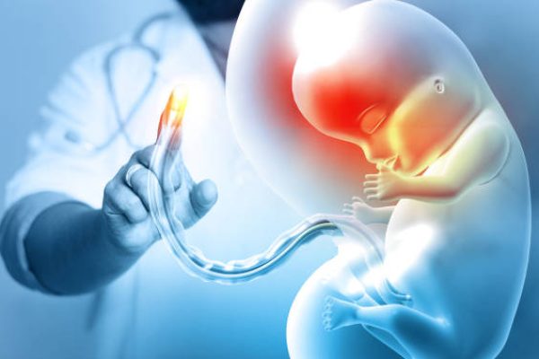 Doctor check and diagnose the human fetus on medical background. 3d illustration